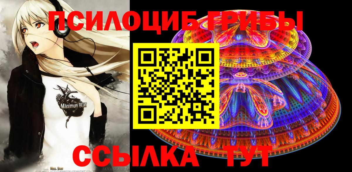 Псилоцибиновые грибы GOLDEN TEACHER  Вход с VPN  Михайловка 